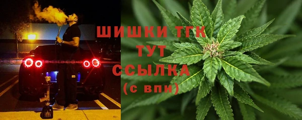 гидропоника Абаза