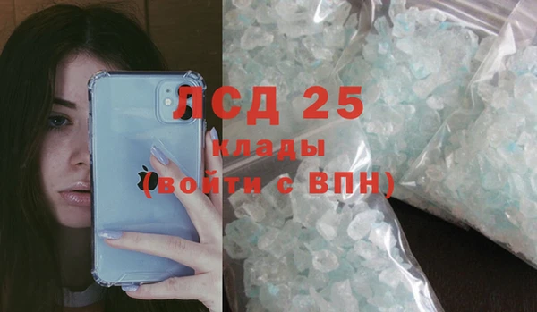 стаф Абинск