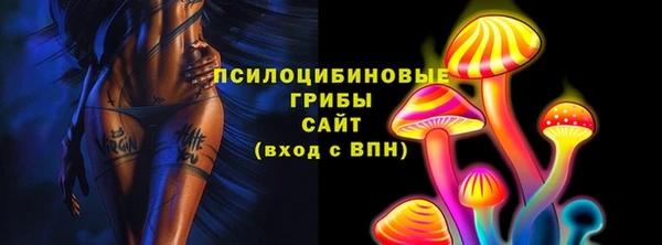 стаф Абинск