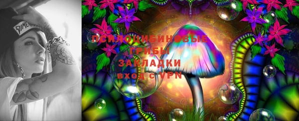 стаф Абинск