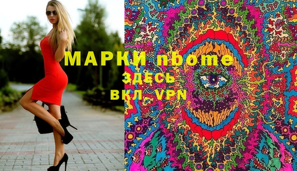стаф Абинск