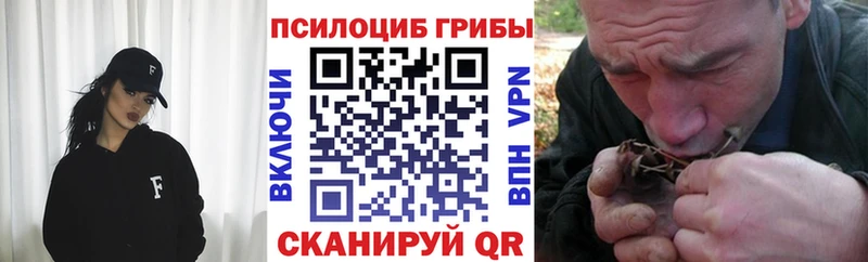 KRAKEN ссылка Алейск Псилоцибиновые грибы Psilocybine cubensis